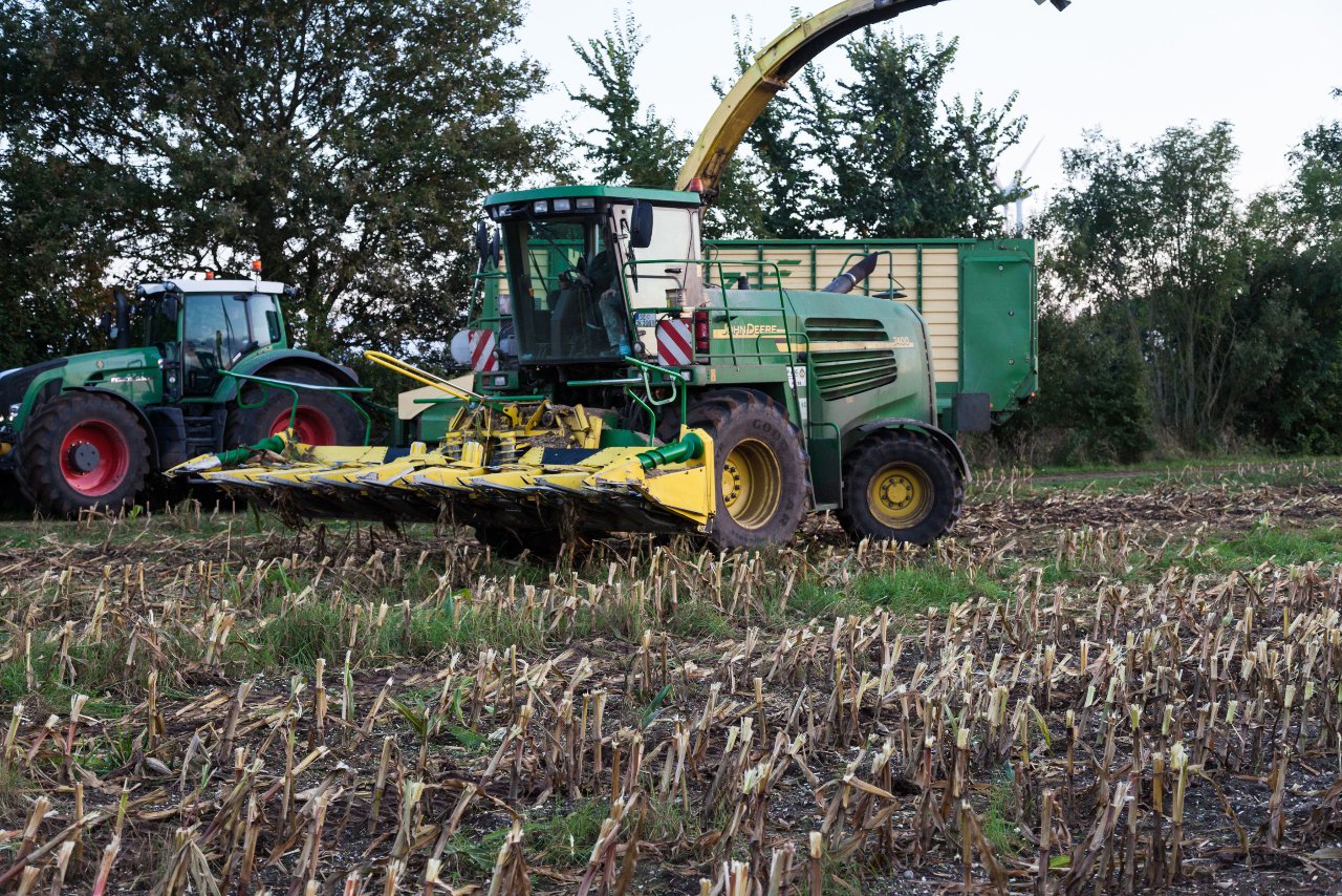 Bild 37 - Maisernte am 11.10.12